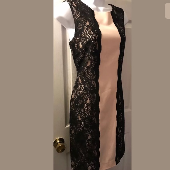BOSTON PROPER Lace Pink Nude Black Shift Dress Cocktail Wedding - Picture 3 of 10